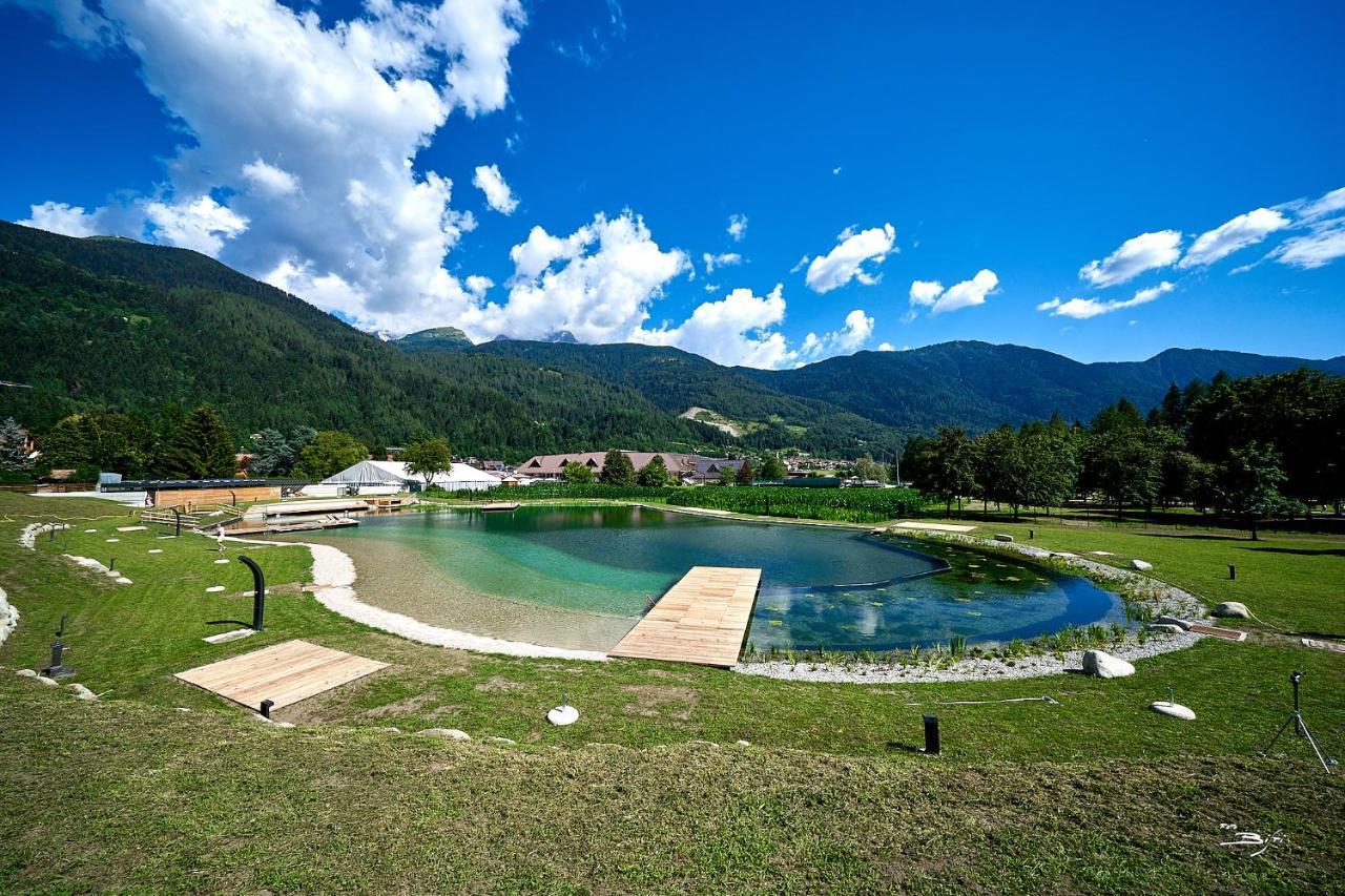 Chalet Mountain Plaza - Apt Greenvalley Пинцоло Экстерьер фото